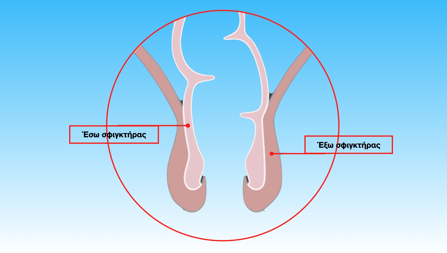 ΠΑΘΗΣΕΙΣ ΠΡΩΚΤΟΥ